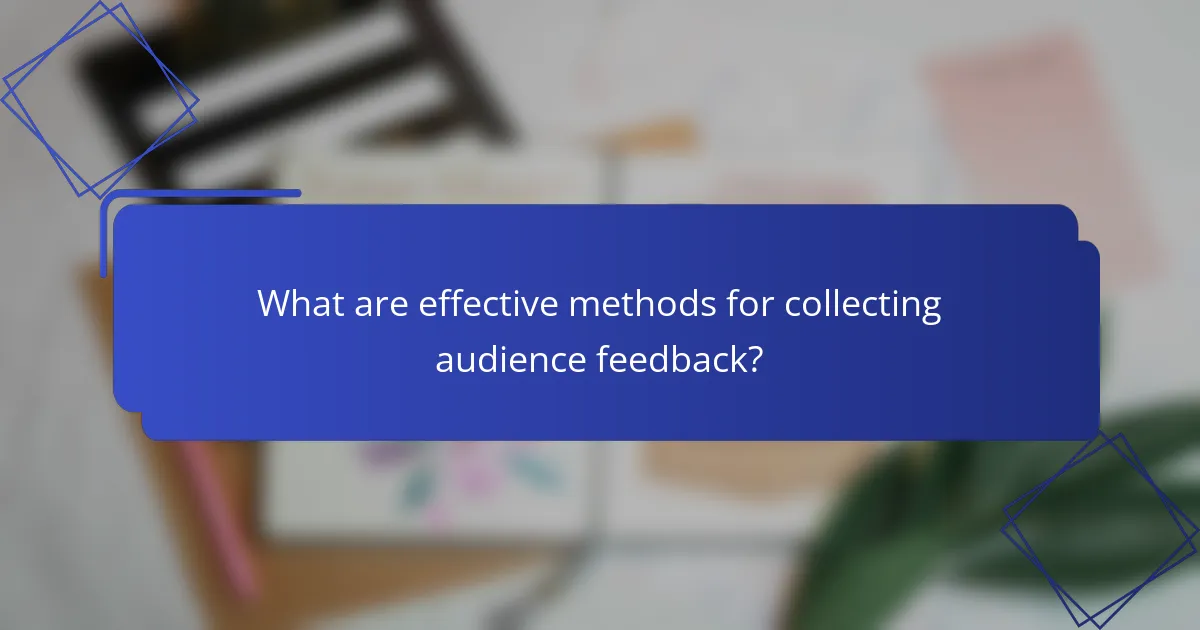 What are effective methods for collecting audience feedback?